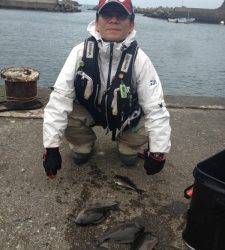 風がきつかったですがオカズゲット☆　アシカでのフカセ