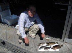 カベ磯でのフカセ釣り　酒カスでアイゴとグレ