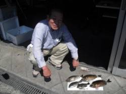 カベ磯でのフカセ釣り　酒カスでアイゴとグレ…