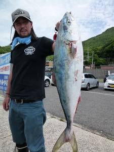 ヒラバエ 　ルアーでメジロ63cm