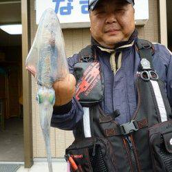 湯浅の磯　エギングでアオリイカ〜1.06kgの釣果