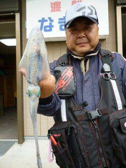 湯浅の磯　エギングでアオリイカ〜1.06kgの釣果