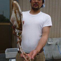 エギングでキロアップ釣果も♪〜湯浅の磯〜