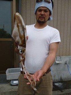 エギングでキロアップ釣果も♪〜湯浅の磯〜