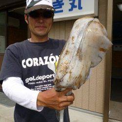 湯浅の磯ヤエン釣果　2kgアップをはじめ良く釣れています！