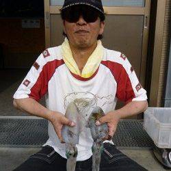 湯浅でエギング　ヒットカラーはブルー&グリーン系