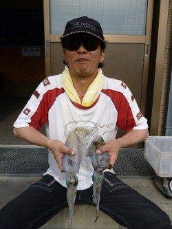 湯浅でエギング　ヒットカラーはブルー&グリーン系