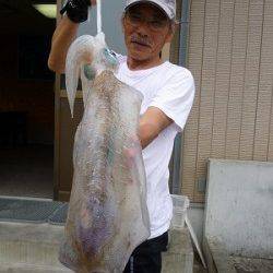 湯浅の磯でのヤエン釣り！2kg級〜