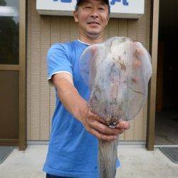 湯浅の磯でのヤエン釣り！2kg級〜