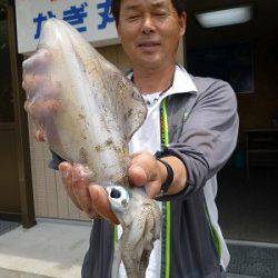 湯浅の磯　エギングでアオリイカ〜600g