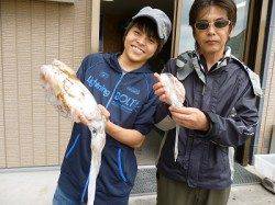 湯浅の磯、エギ3.5号、ヒットカラーはピンク系でした