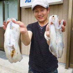 湯浅でエギング、HITカラーはGOLD