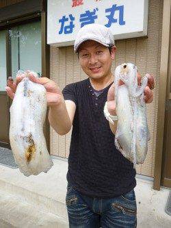 湯浅でエギング、HITカラーはGOLD