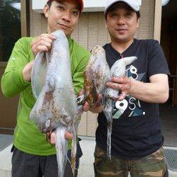 湯浅エリア、ヤエンとエギングでアオリの釣果あります！