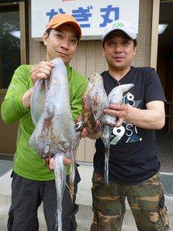 湯浅エリア、ヤエンとエギングでアオリの釣果あります！