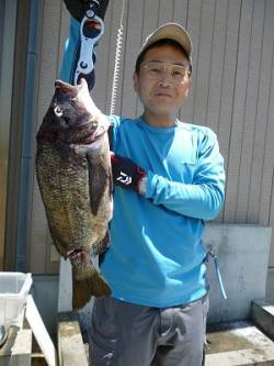 ミノー11㎝、イワシカラーで47.5cmの…