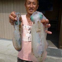 湯浅の磯、ヤエンでアオリ・ウキ釣りで62cmのマゴチＧＥＴ！