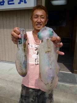 湯浅の磯、ヤエンでアオリ・ウキ釣りで62c…