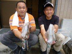 【良く釣れる！】ヤエン仕掛でアオリイカ