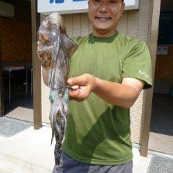 【良く釣れる！】ヤエン仕掛でアオリイカ