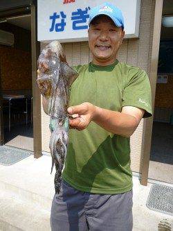 【良く釣れる！】ヤエン仕掛でアオリイカ