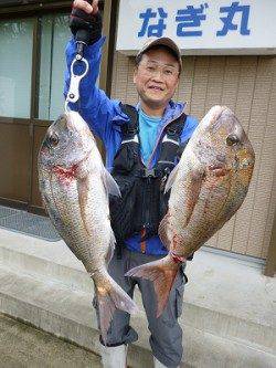 湯浅の磯　ミノーで大型マダイをキャッチ！