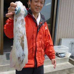 湯浅の磯　ウキ釣りでアオリイカ