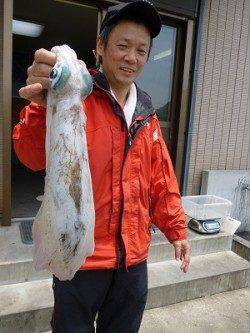 湯浅の磯　ウキ釣りでアオリイカ