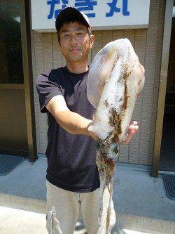 湯浅の磯　ズボ釣りでマダイ、エギング・ヤエンでアオリイカ