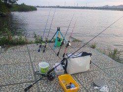 紀ノ川河口、ブッコミ釣りでウナギ♪