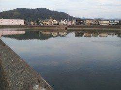 和歌川河口　夕方のチニングでチヌゲット！