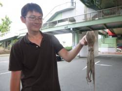 朝の北公園のタコ！