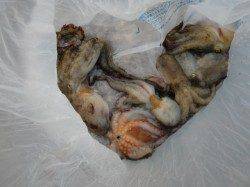 【いい感じ♪♪】南芦屋浜リアルタイム