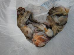  【いい感じ♪♪】南芦屋浜リアルタイム