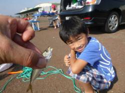 兵庫突堤ＲＴ　サビキ好調