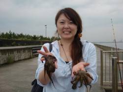 【雨にも負けず大漁】南芦屋浜リアルタイム