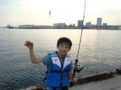 ♪豆アジ釣れます♪泉大津　朝RT　２５日