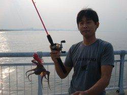 【花火の影響なし!?】南芦屋浜リアルタイム