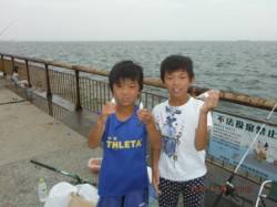  【今日も楽しくサビキ釣り～♪】南芦屋浜