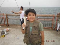 【夕方のサビキ釣りも好調～♪】南芦屋浜