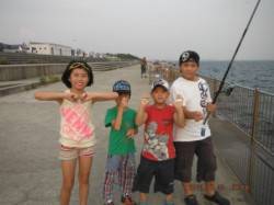 【サビキ好調♪連日釣れてます！】南芦屋浜