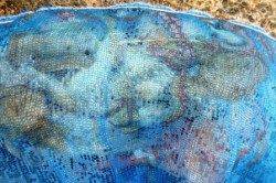 食コンRT★一文字では四季釣り