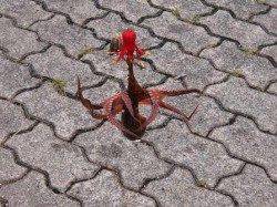 タコ♪タコ♪タコ♪4日夕方泉大津RT