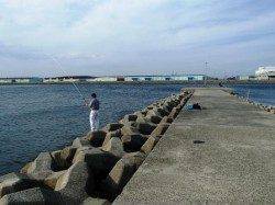 キス・豆アジ・タコ♪5日夕方泉大津RT