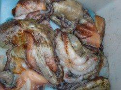 【釣物オンパレード♪】南芦屋浜リアルタイム