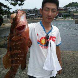 間人磯周りをスプーンで攻めて良型アコウＧＥＴ！