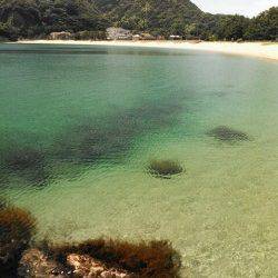 柴山港、70cmのスズキをＧＥＴ！