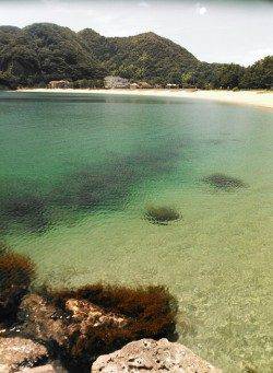 柴山港、70cmのスズキをＧＥＴ！