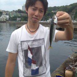 雑賀崎へアジングに行ってきました