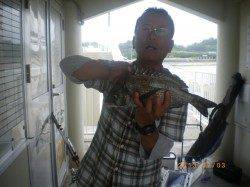 姫路市立遊漁センターで探り釣り、メバルにアコウも釣れました♪